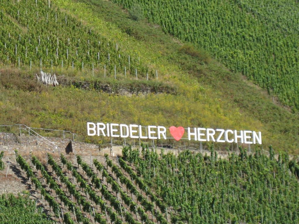 Weingut Goeres 호텔 브리에델 객실 사진